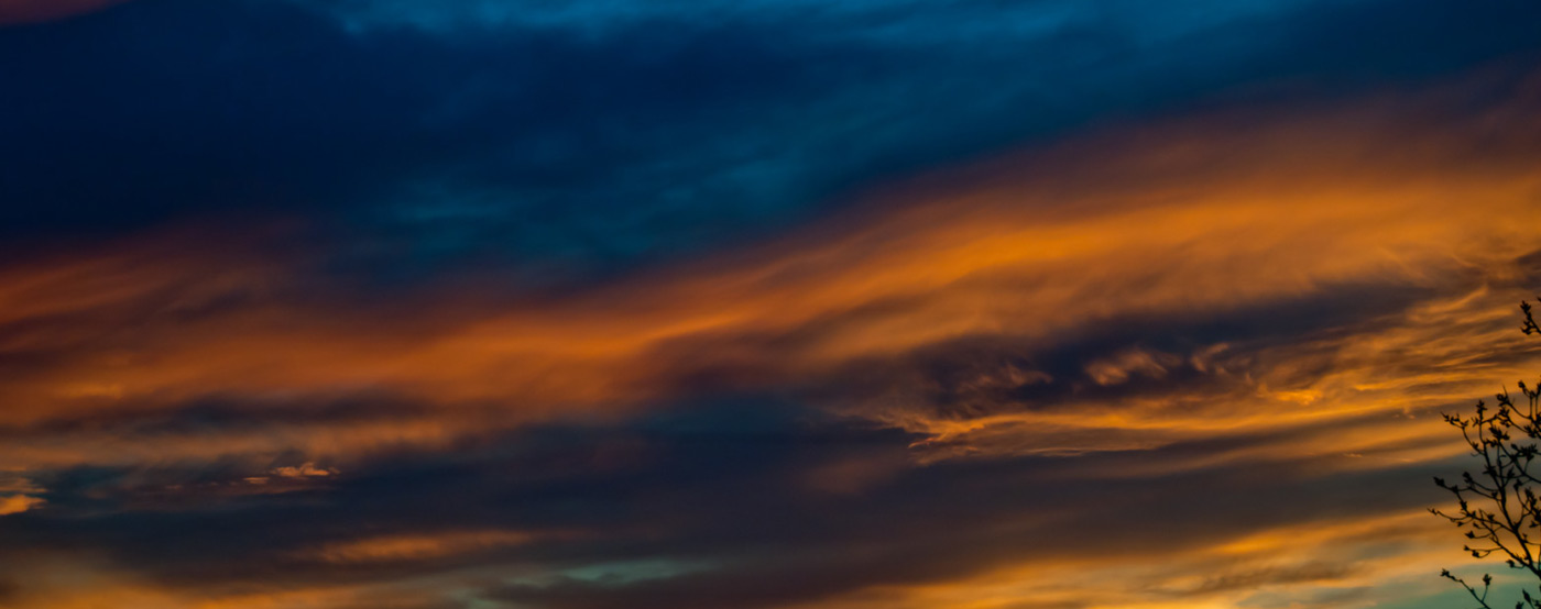 Banner for Business Resources